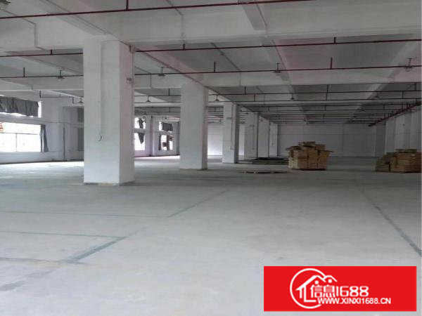 布吉1至3层独门独院厂房仓库出租