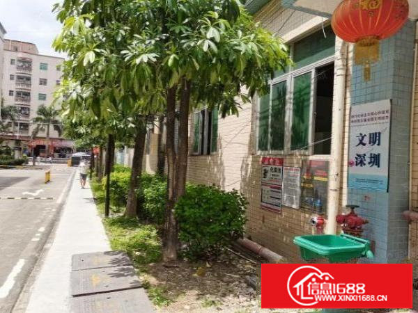 深圳观澜轻轨站主干道边一楼厂房出租，面积实际，户型方正