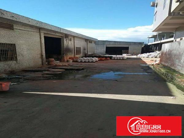 惠阳秋长白石三角塘新出一楼1200钢构原房东出租，