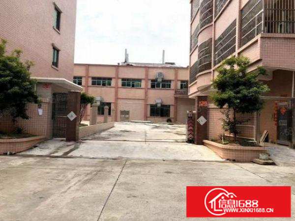 东坑独门独院，标准三层，水电齐全，带精装修，空地大，无尘车间