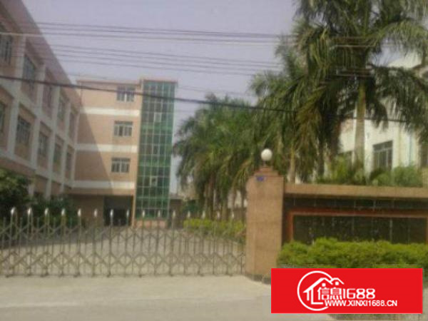 万江工业区标准厂房分租楼上2、3楼2000平出租