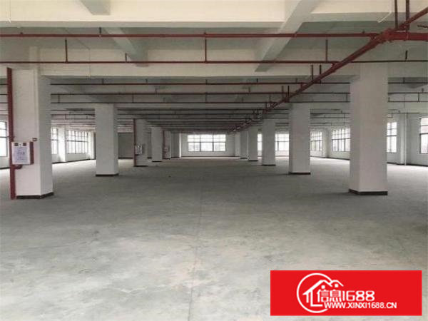 新联村厂房楼上1500平带豪华装修价格15免装修费急转