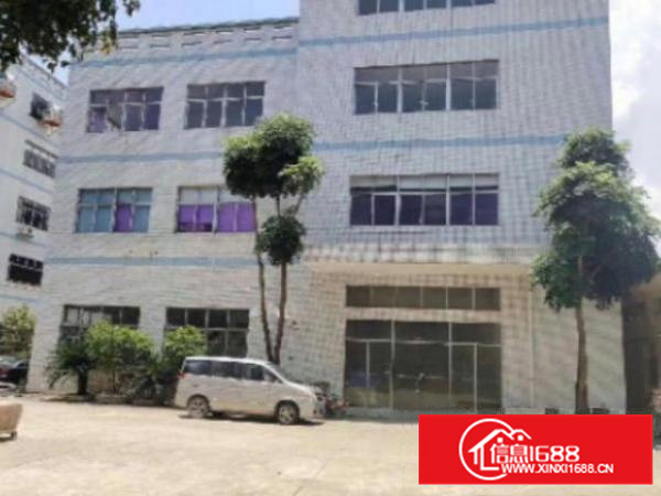 万江简沙洲标准厂房楼上三楼2300平方带消防喷淋出租带无尘车