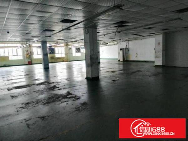 出租大浪工业区整层厂房