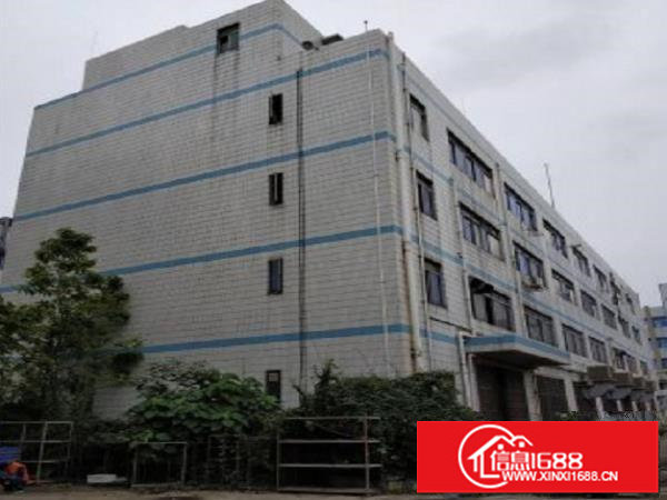 横岗红本厂房30000平物业直租，大小分租