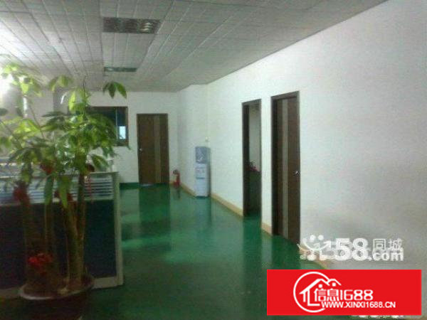 大浪新百丽星辉科技园新出3楼420平带豪华装修招租