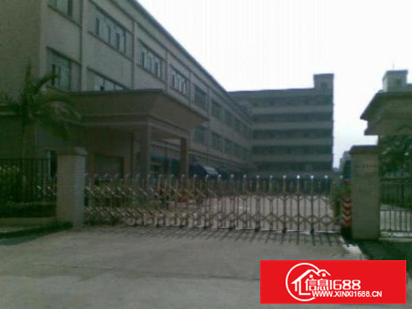 高埗工业区独院标准厂房仓库一楼2000平方出租带卸货平台