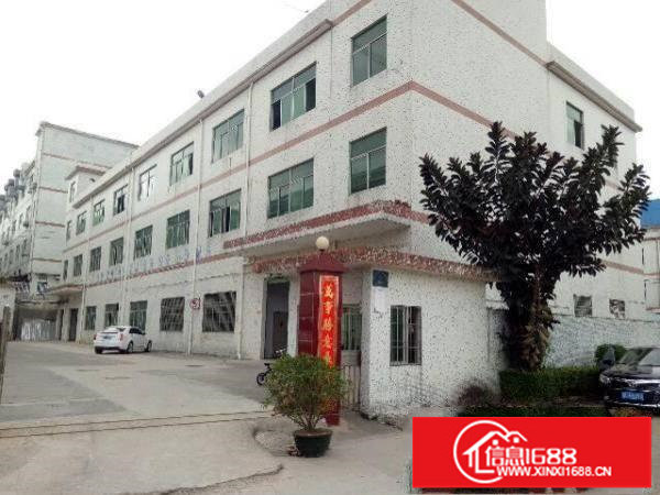 坪山坑梓金沙社区新出独院5800平带办公室装修出租