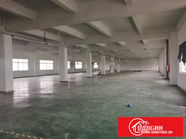 新圩镇东风村村委厂房出租楼上1500平方靠近深圳坪地交界处