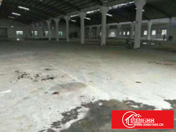 高埗单一层2600平方米全新独院钢结构厂房招租离高速出口仅有