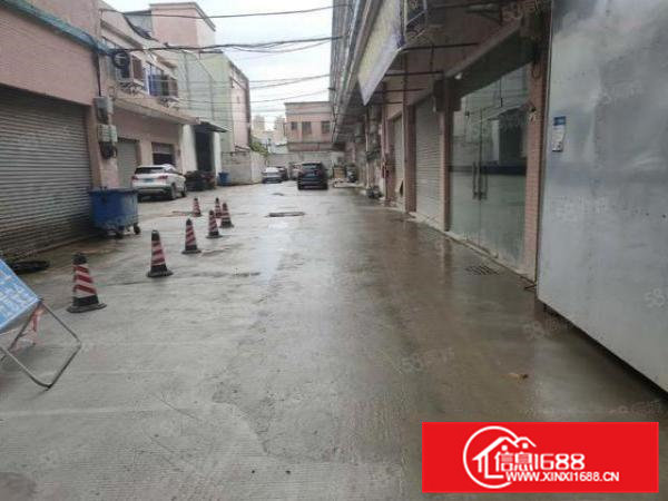 （可办环评）大岭山原房东6米高1500平标准独门独院厂房出租