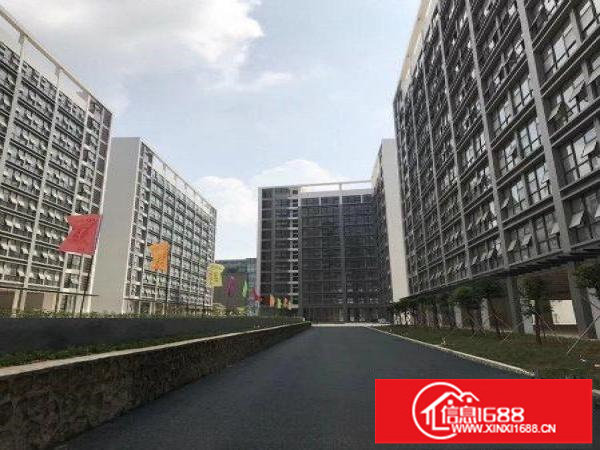 龙岗红本豪华装修电子厂房3100平米带消防喷淋出租