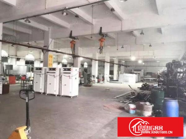 低价出租大利主路边原房东独院4500平带装修可分租