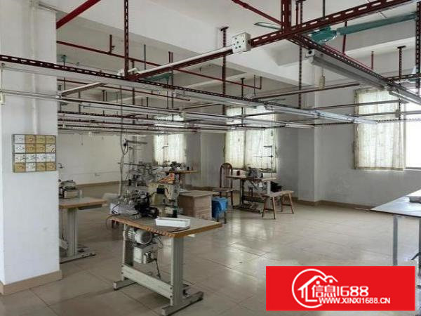 茶山南社，业主直租，有宿舍楼，可改建写字楼