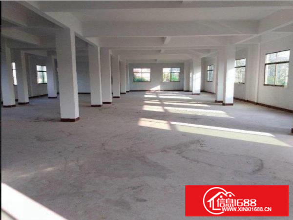 秋长950平红本厂房带消防有电梯带精装修