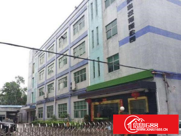 新出原房东一楼厂房1000平出租带精装修办公室