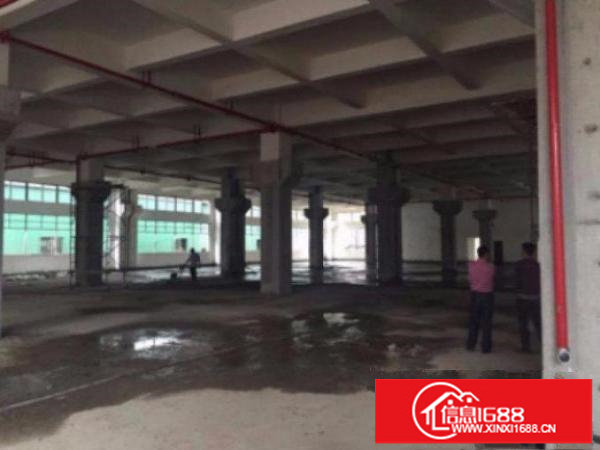 平湖富民工业区标准厂房一楼900平出租水电齐全交通方便