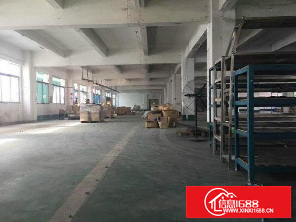 塘厦横塘独院标准1楼1400平方平方现成办公室装修