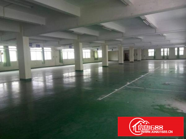 固戍，300到1000，2000平厂房，仓库，