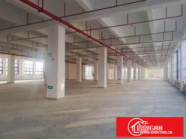 横岗四联豪华装修厂房楼上2950平出租可分租，现成装修