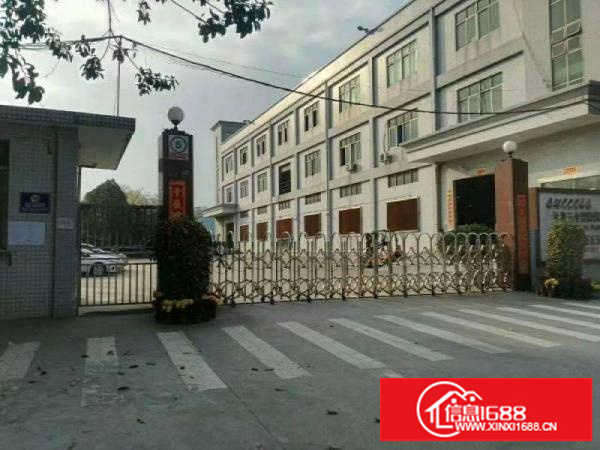 石岩汽车站原房东带精装修500平方厂房