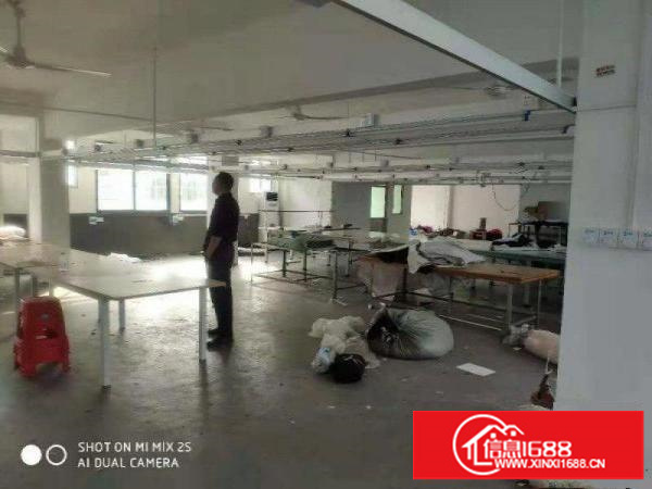 坪山石井金田路边上新出一楼380平出租，实量面积