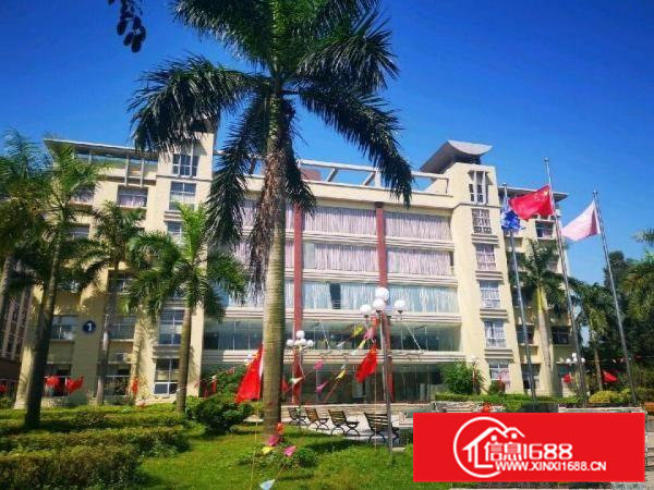 沿江高速房东直租全新厂房