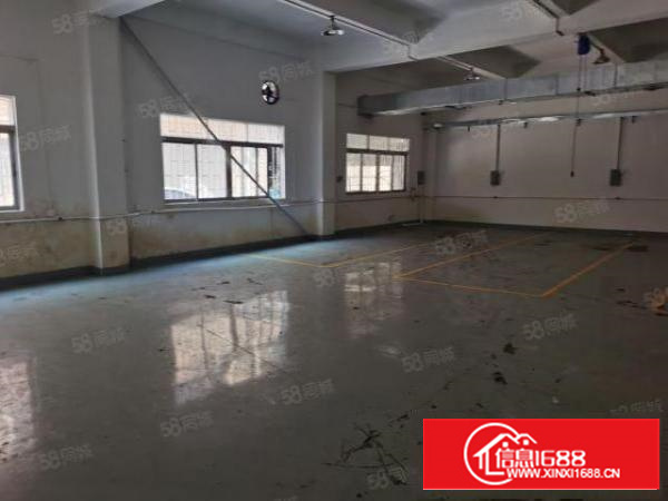 石碣镇西南村一楼铺位500方带阁楼合适各种加工行业