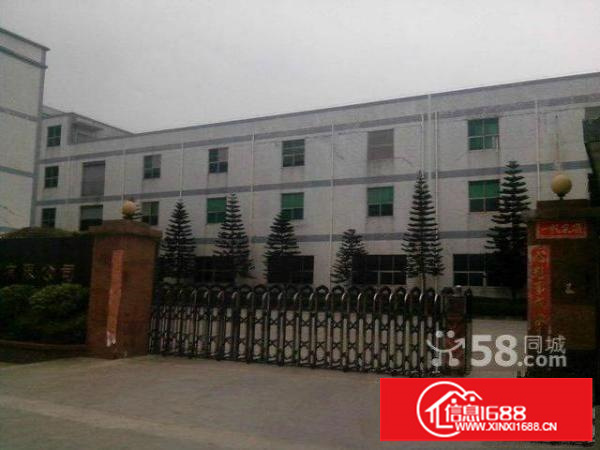 坂田天虹利金城边上1280平装修厂房招租