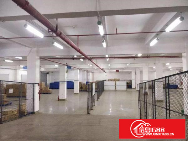 出租石排镇石排城区独院独院吧标准楼房2层