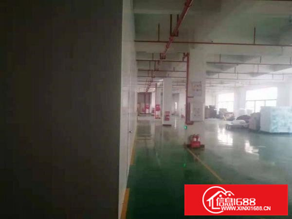 可做口罩车间厂房2100平方精装修有地坪漆办公家具齐全