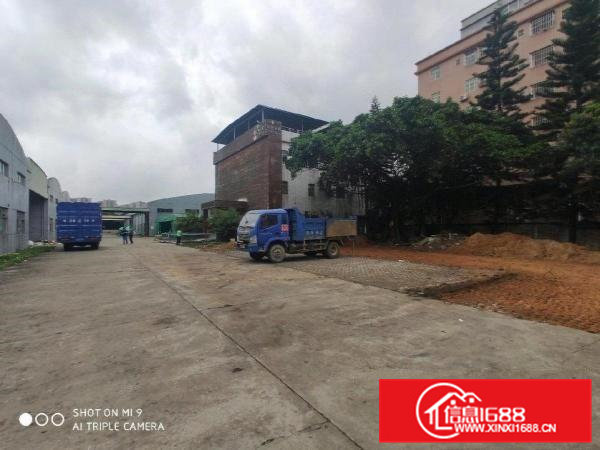 大岭山单一层独门独院可办环评厂房