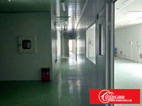 出租龙岗区新南1300平米整层无转让费采光好