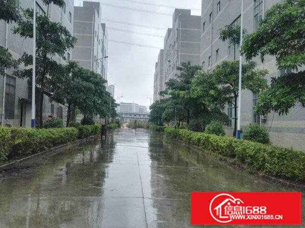 11万平米红本花园式厂房招租