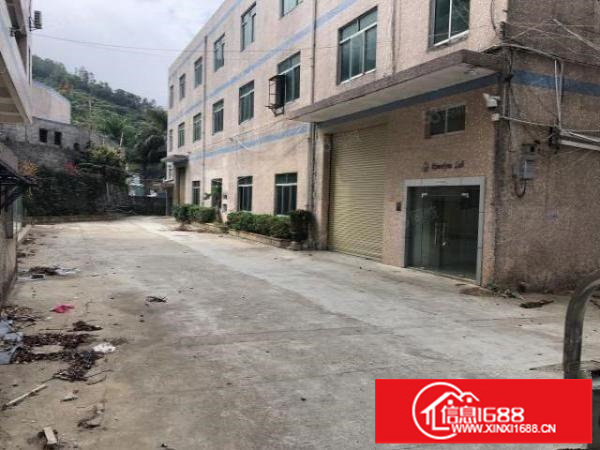 一手房东实际面积出租带地坪漆小独院合同5年起可办环评