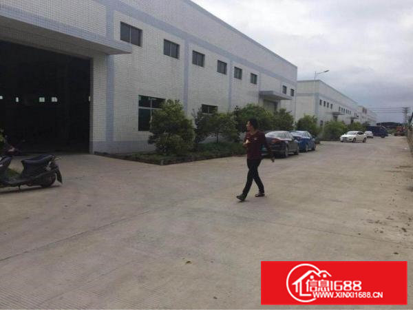 清溪青皇主干道边标准钢构6000平方