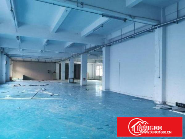 护安围村标准一楼300平米，带精装修办公室厂房出租