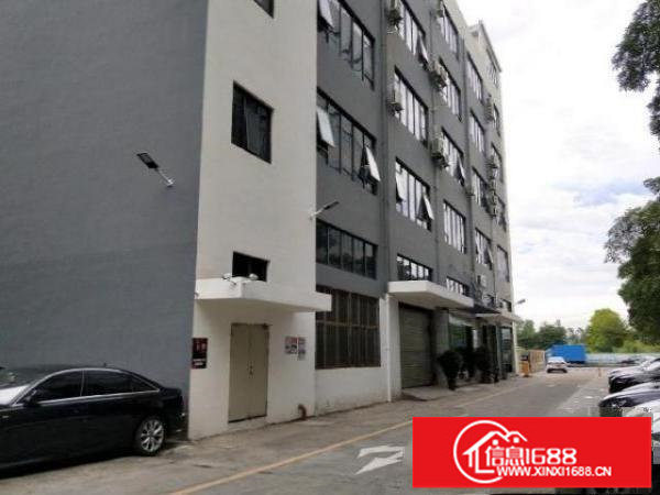 龙华大浪整层600平方出租