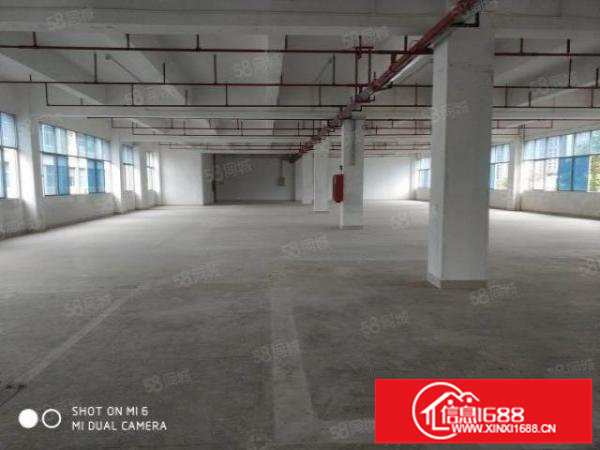 龙岗坪山坑梓产业园招租楼上3000平可整租，分租