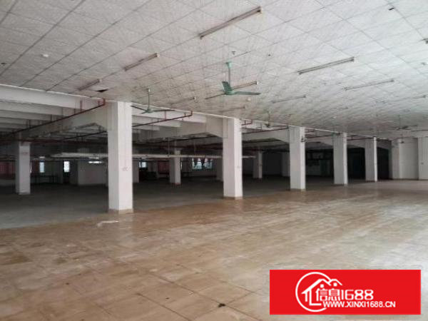 谢岗标准厂房出租，面积可分租，单层可分一半