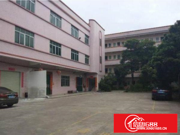 镇隆镇红本独院厂房5500平米出租带地坪漆精装修