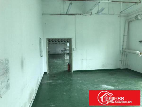 布吉丹竹头厂房360平640平1350平出租