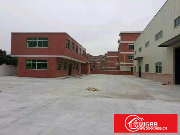 空置厂房钢结构厂房5000滴水9米高单一层出租