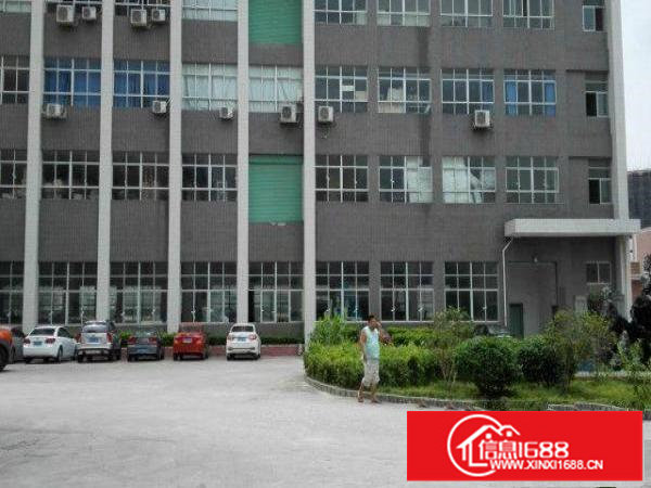 龙华油松梦丽园科技园新出200平带装修厂房招租