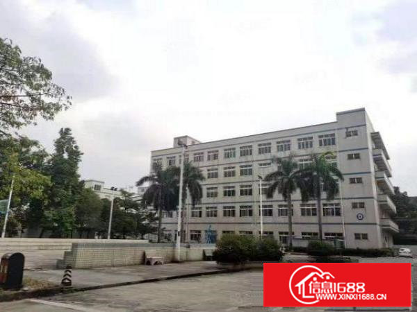 常平花园式大空地国有证独院厂房出租总面积23638平方米可分