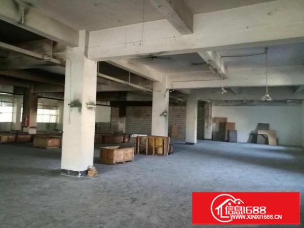 大朗新马莲新出标准厂房一二楼，每层800方，13元可分租