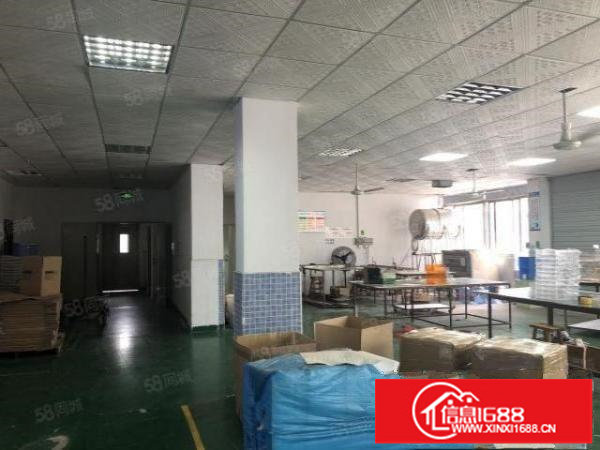 观澜福民精装修整层厂房910平无转让费出租