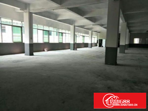 万江简沙洲工业园新空出标准楼上1800平方出租厂房形象漂亮，