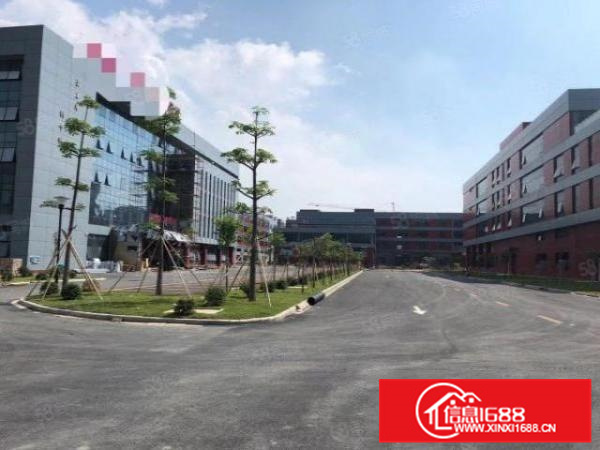 三水乐平化妆品行业的福音530000平方大小可以分租