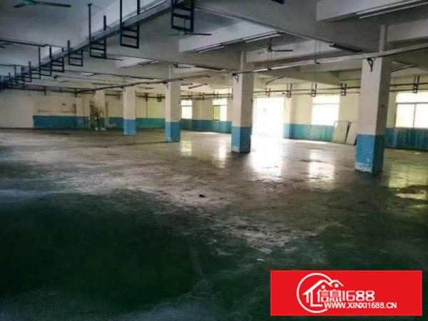 原房东厂房)1000平方米)一楼厂房)楼上厂房出租